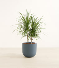 Load image into Gallery viewer, Iron Gray*****Profile