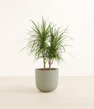 Load image into Gallery viewer, Sage Green*****Profile