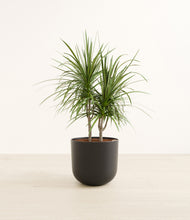 Load image into Gallery viewer, Stone Black*****Profile