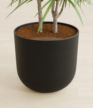 Load image into Gallery viewer, Stone Black stand:all