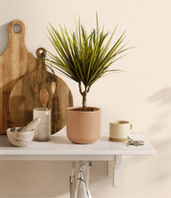 Load image into Gallery viewer, Striped Peach Pink