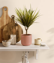 Load image into Gallery viewer, Striped Rose Pink