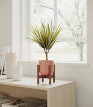 Load image into Gallery viewer, Striped Rose Pink stand:walnut