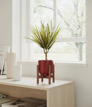 Load image into Gallery viewer, Striped Cherry Red stand:walnut