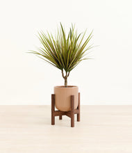 Load image into Gallery viewer, Striped Peach Pink stand:walnut