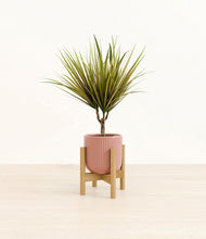 Load image into Gallery viewer, Striped Rose Pink stand:bamboo