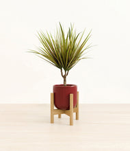 Load image into Gallery viewer, Striped Cherry Red stand:bamboo