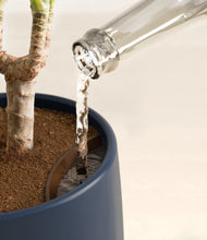 Load image into Gallery viewer, Deep Navy stand:all