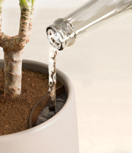 Load image into Gallery viewer, Eternal Gray stand:all