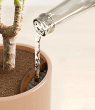 Load image into Gallery viewer, Glossy Pink stand:all