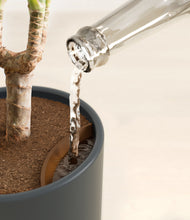 Load image into Gallery viewer, Iron Gray stand:all