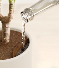 Load image into Gallery viewer, Cotton White stand:all