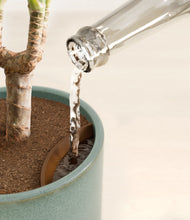 Load image into Gallery viewer, Reactive Aqua stand:all