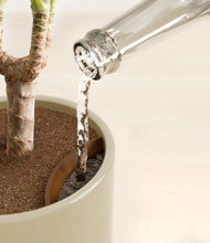 Load image into Gallery viewer, Sage Green stand:all