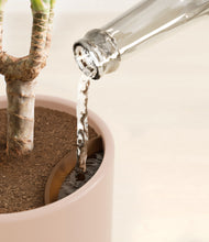 Load image into Gallery viewer, Sandy Pink stand:all