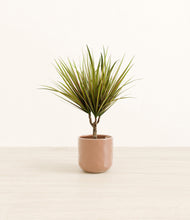 Load image into Gallery viewer, Hammered Peach Pink