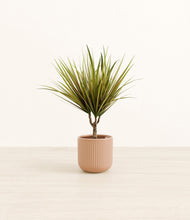 Load image into Gallery viewer, Striped Peach Pink