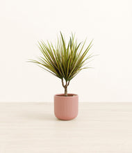 Load image into Gallery viewer, Striped Rose Pink