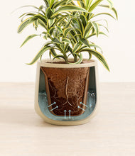 Load image into Gallery viewer, Almond Green stand:all