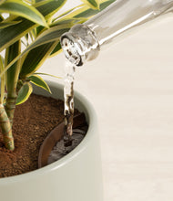 Load image into Gallery viewer, Turquoise stand:all