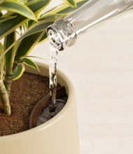 Load image into Gallery viewer, Almond Green stand:all