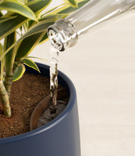 Load image into Gallery viewer, Deep Navy stand:all