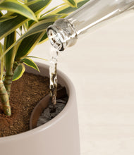 Load image into Gallery viewer, Eternal Gray stand:all