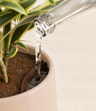 Load image into Gallery viewer, Gentle Pink stand:all