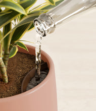 Load image into Gallery viewer, Calm Rose stand:all