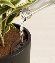 Load image into Gallery viewer, Black stand:all