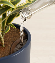 Load image into Gallery viewer, Deep Navy stand:all