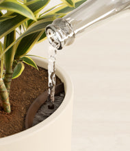 Load image into Gallery viewer, Cream stand:all