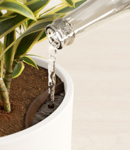 Load image into Gallery viewer, White stand:all