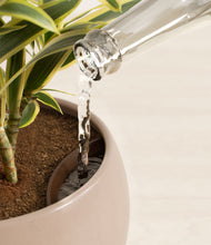 Load image into Gallery viewer, Desert Brown stand:all