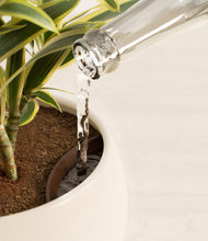 Load image into Gallery viewer, Shiny EggWhite stand:all