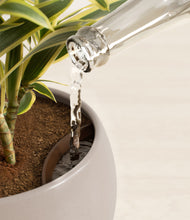 Load image into Gallery viewer, Eternal Gray stand:all