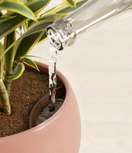 Load image into Gallery viewer, Calm Rose stand:all