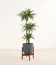 Load image into Gallery viewer, Iron Gray stand:walnut