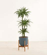 Load image into Gallery viewer, Iron Gray stand:bamboo