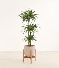 Load image into Gallery viewer, Sandy Pink stand:bamboo