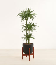 Load image into Gallery viewer, Stone Black stand:walnut