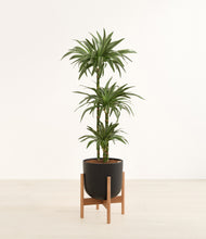 Load image into Gallery viewer, Stone Black stand:bamboo