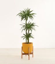 Load image into Gallery viewer, Sunset Orange stand:bamboo