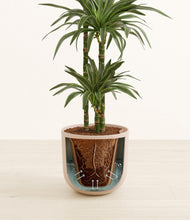 Load image into Gallery viewer, Sandy Pink stand:all