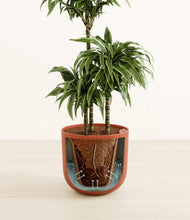 Load image into Gallery viewer, Earth Red stand:all