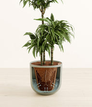 Load image into Gallery viewer, Sage Green stand:all