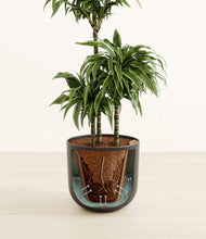 Load image into Gallery viewer, Stone Black stand:all