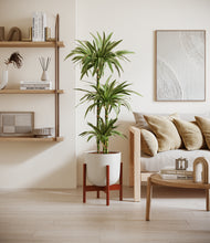 Load image into Gallery viewer, Natural Bamboo stand:walnut