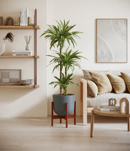 Load image into Gallery viewer, Iron Gray stand:walnut