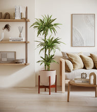 Load image into Gallery viewer, Sandy Pink stand:walnut